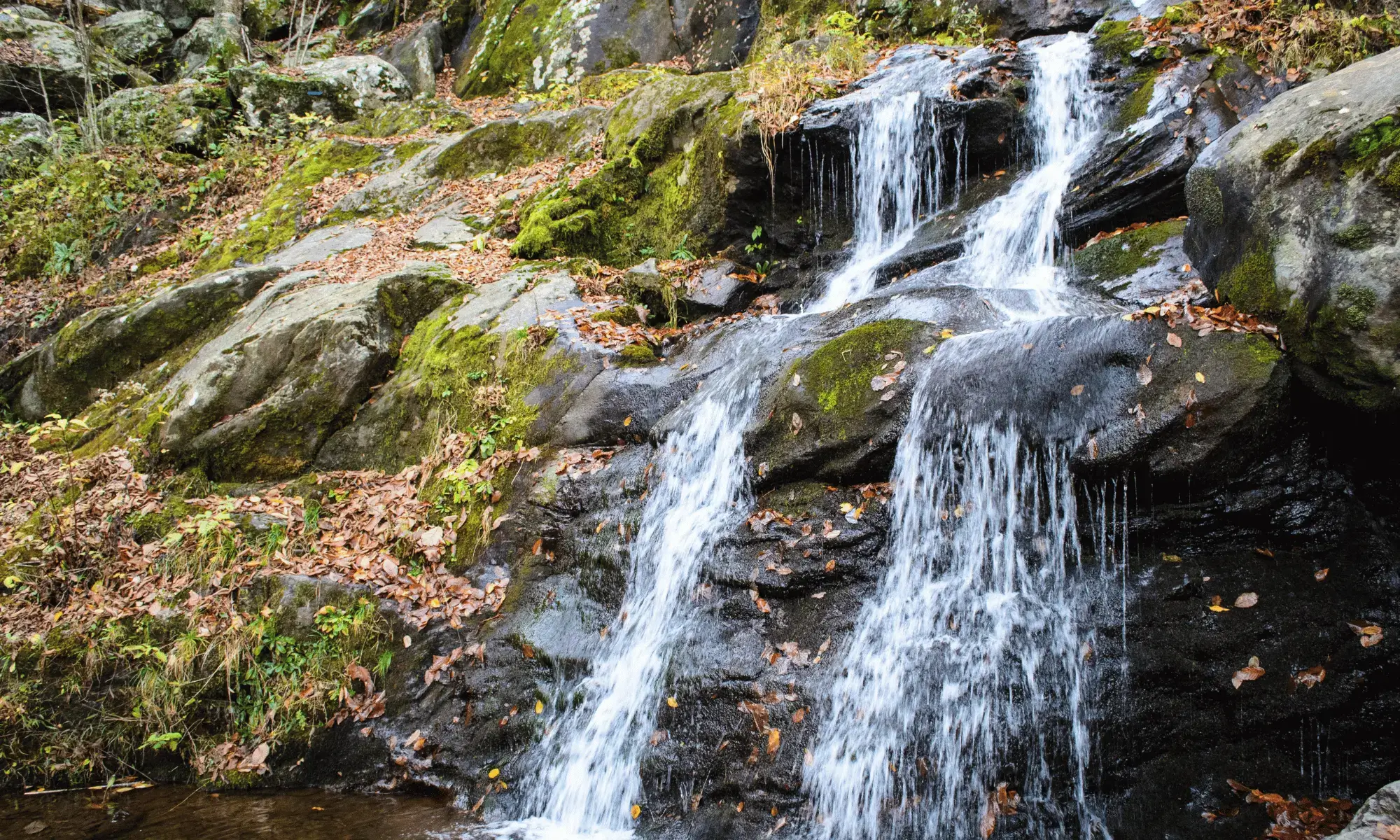 Shenandoah National Park