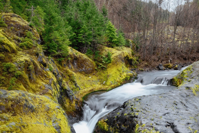 Lava Canyon Trail