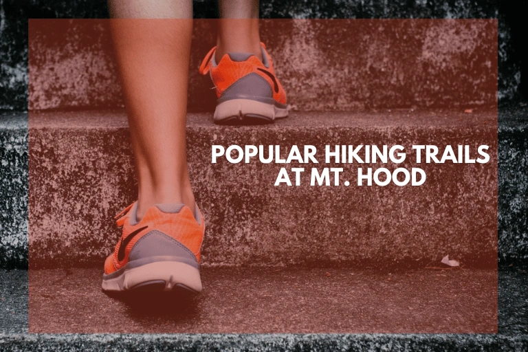 Popular Hiking Trails at Mt. Hood