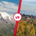 Hiking Trails of MT ST Helens vs t hood