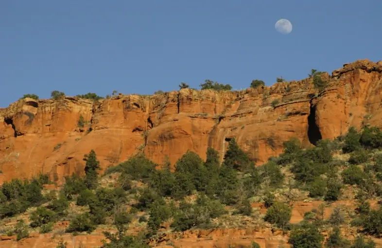 The Cathedral trail in Sedona is a desired hiking channel. It has remarkable scenarios of the symbolic Cathedral Rock formation.