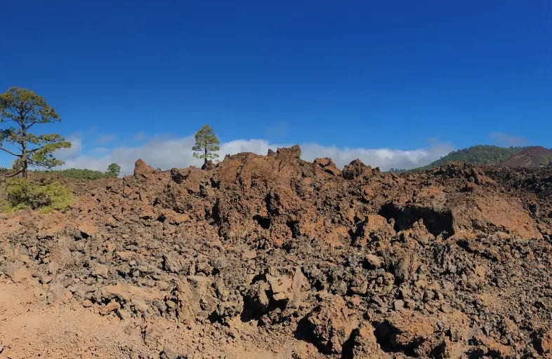 Essential Items to Pack for Lava Canyon Trail Hiking