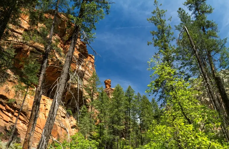 The West Fork trail in Sedona is a picture-perfect trail. It is widely known for stunning views and lively scenarios.