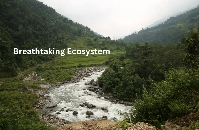 Below are some of the ecological highlights that you can experience while Trekking in Arun Valley- 